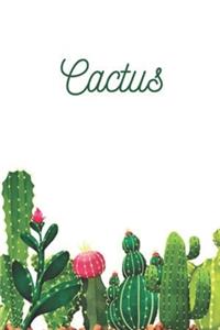 Cactus