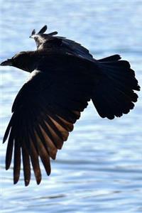 Raven in Flight Journal