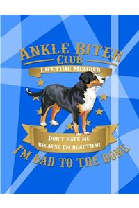 Ankle Biter Club Lifetime Member: Don't Hate Me Because I'm Beautiful, I'm Bad to the Bone - Greater Swiss Mountain Dog