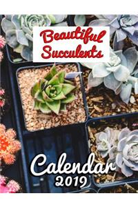 Beautiful Succulents Calendar 2019
