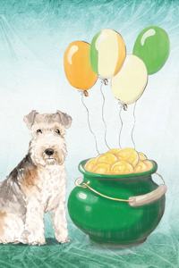 Lakeland Terrier