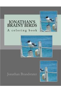 Jonathan's Brainy birds