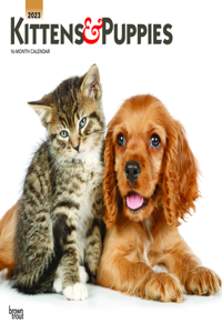 Kittens & Puppies 2023 Square Foil