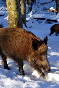 Wild Boar in the Snow Journal