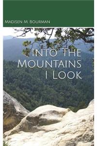 Into The Mountains I Look