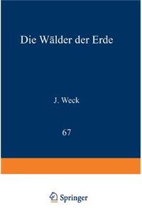 Die Wälder Der Erde