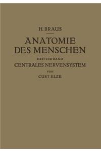 Anatomie Des Menschen Ein Lehrbuch Für Studierende Und Ärƶte
