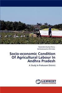 Socio-economic Condition Of Agricultural Labour In Andhra Pradesh