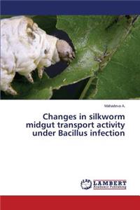 Changes in Silkworm Midgut Transport Activity Under Bacillus Infection