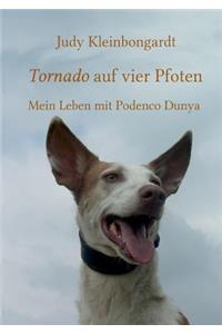 Tornado auf vier Pfoten