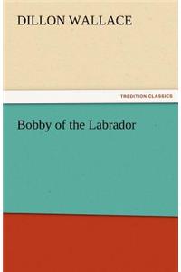 Bobby of the Labrador