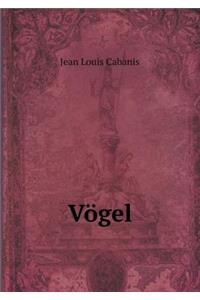Vögel