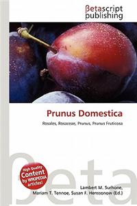 Prunus Domestica