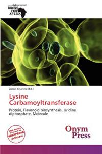 Lysine Carbamoyltransferase
