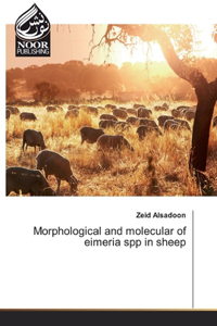 Morphological and molecular of eimeria spp in sheep