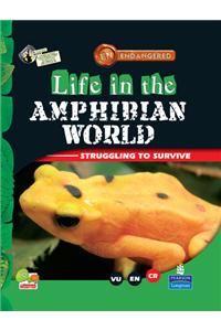 Life in the Amphibian World: Key stage 2