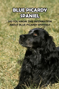 Blue Picardy Spaniel