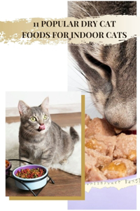 11 Popular Dry Cat Foods for Indoor Cats
