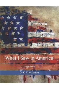 What I Saw in America