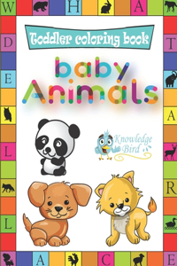 Baby Animals Coloring Book