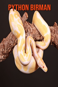 Python Birman