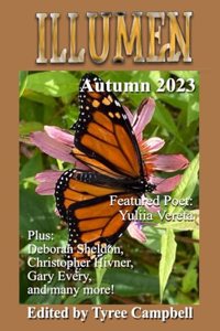 Illumen Autumn 2023