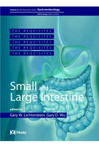 Small and Large Intestine