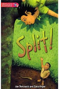 Literacy World Comets Stage 2 Novel  Split