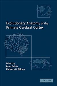 Evolutionary Anatomy of the Primate Cerebral Cortex