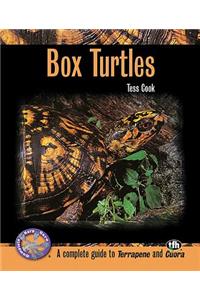Box Turtles