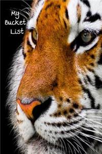 My Bucket List