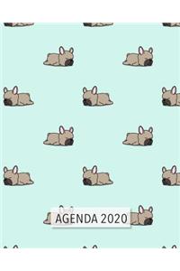 Agenda 2020