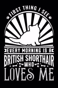 First Thing I See Every The Morning Is A British Shorthair That Loves Me