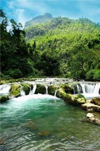 Nature notebook - best notebook with quotes, perfect 120 lined pages #1