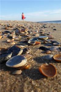 Shells on the Beach Summer Vacation Journal