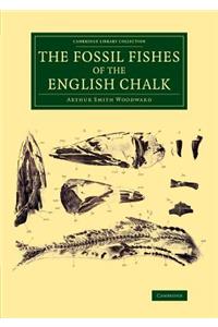 The Fossil Fishes of the English Chalk