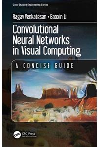 Convolutional Neural Networks in Visual Computing