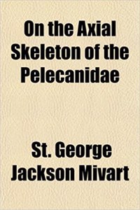 On the Axial Skeleton of the Pelecanidae