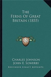 The Ferns Of Great Britain (1855)