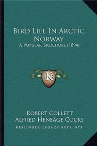 Bird Life In Arctic Norway