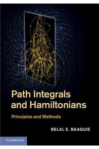 Path Integrals and Hamiltonians