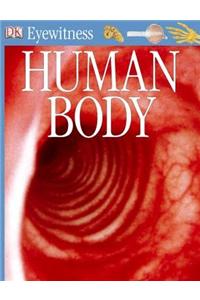 Human Body