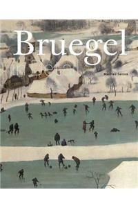 Bruegel in Detail