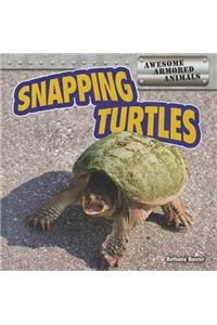 Snapping Turtles