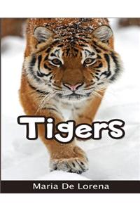 Tigers