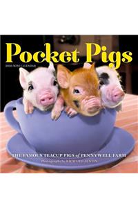 Pocket Pigs Mini Wall Calendar 2020