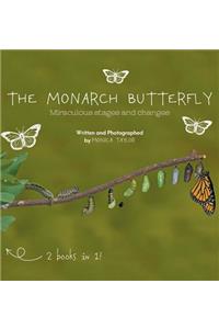 The Monarch Butterfly and The Cecropia Moth