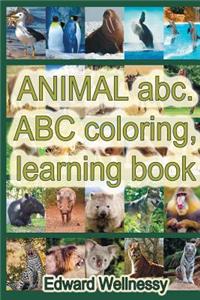 Animal ABC. ABC Coloring, Learning Book