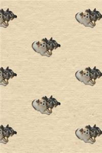 Cute Chihuahuas Journal
