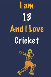 I am 13 And i Love Cricket
